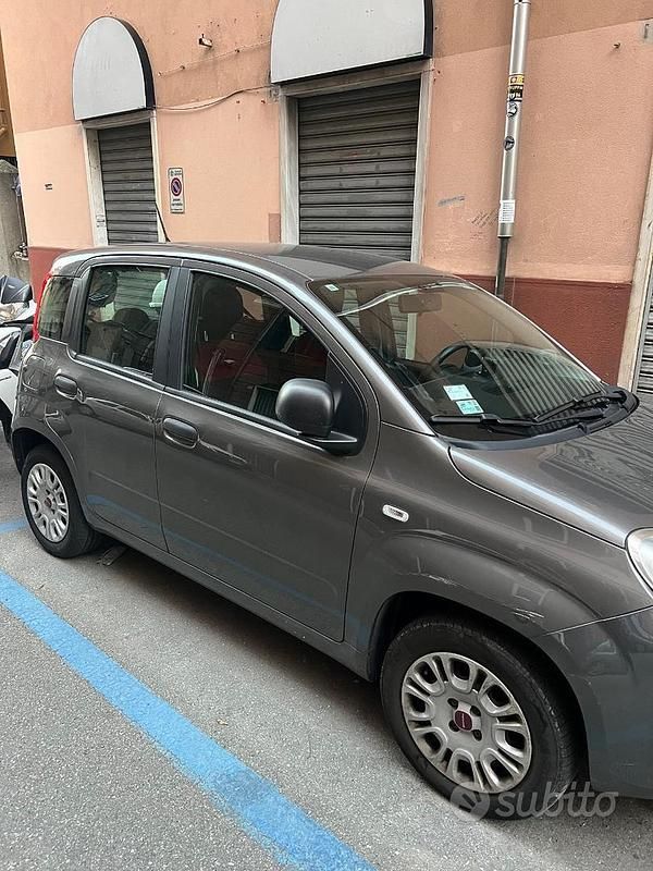 Usata Fiat Panda 2020 Grigio Berlina