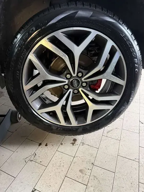 Usata Land Rover Range Rover evoque SE Dynamic 179 CV (131 kW) 2019 SUV