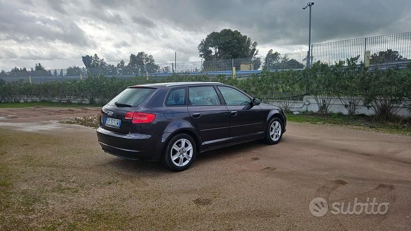 Usata Audi A3 Ambition 90 CV (66 kW) 2011 Viola Utilitaria