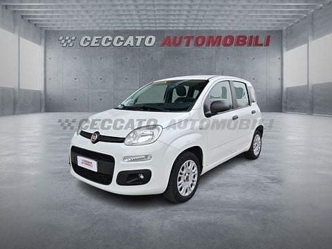 Usata Fiat Panda Street 69 CV (50 kW) 2021 Bianco Utilitaria