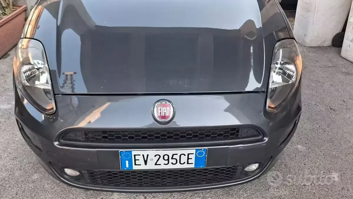 Usata Fiat Punto Young 69 CV (50 kW) 2014 Grigio Utilitaria