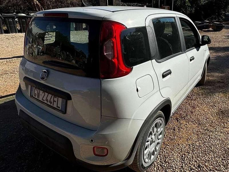 Usata Fiat Panda S 69 CV (50 kW) 2024 Bianco Berlina