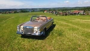Usata Mercedes 280 SE 200 CV (147 kW) 1969 Oro Cabrio