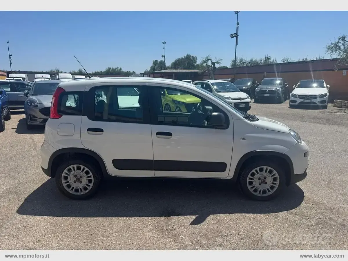Usata Fiat Panda 70 CV (51 kW) 2022 Bianco Utilitaria