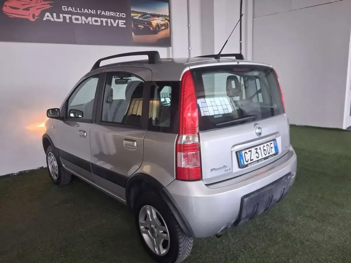Usata Fiat Panda 4x4 Cross 69 CV (50 kW) 2006 Other Utilitaria