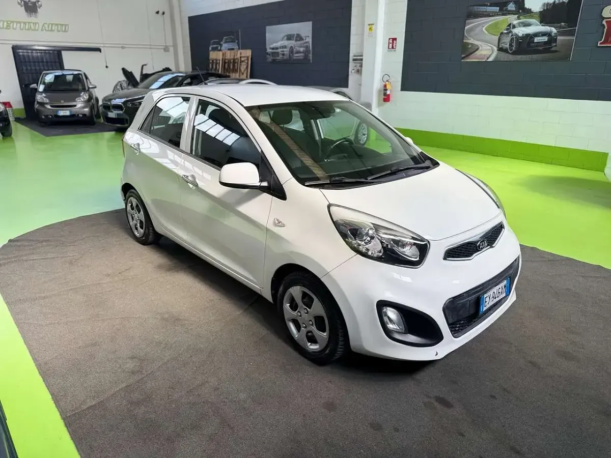 Usata Kia Picanto 67 CV (49 kW) 2015 Bianco Utilitaria