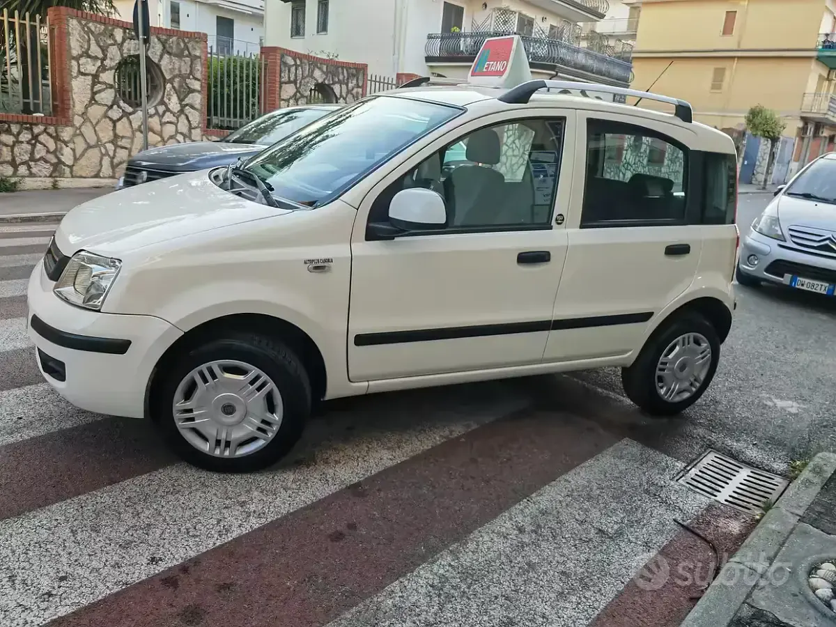 Usata Fiat Panda Dynamic 77 CV (56 kW) 2011 Bianco Utilitaria
