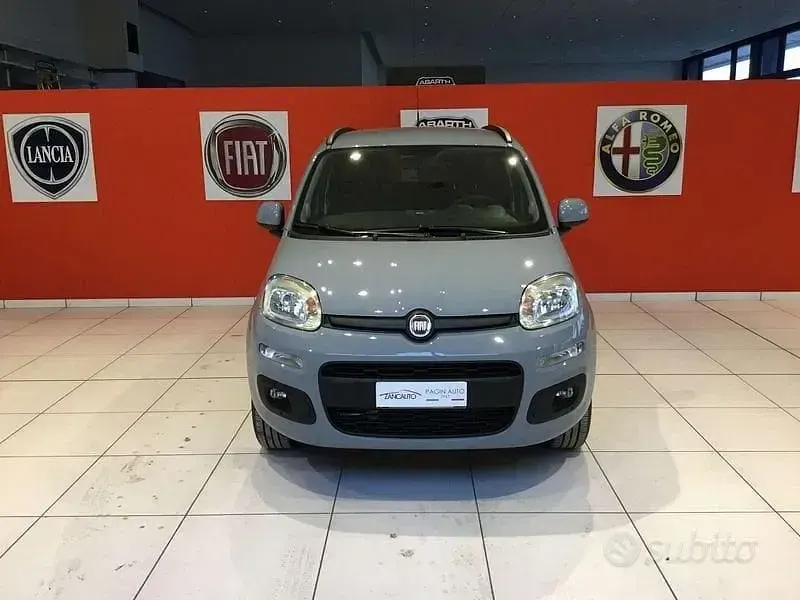 Usata Fiat Panda Lounge 70 CV (51 kW) 2019 Grigio Utilitaria