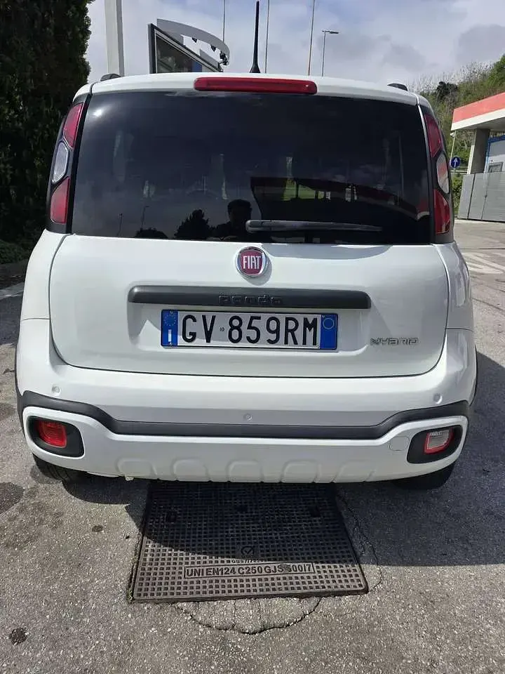 Usata Fiat Panda Cross Cross 69 CV (50 kW) 2024 Bianco Utilitaria