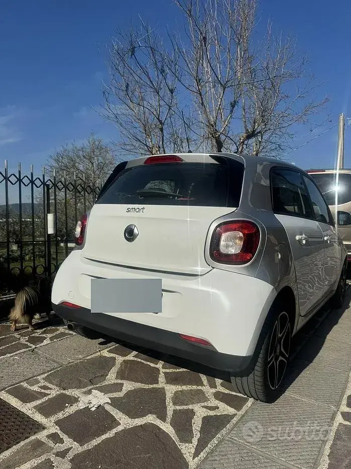 Usata Smart ForFour 71 CV (52 kW) 2016 Bianco Utilitaria