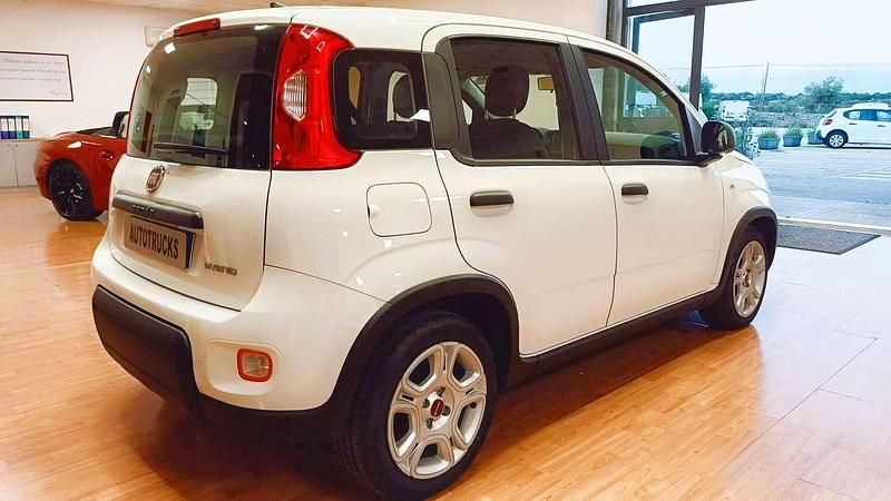Usata Fiat Panda S 70 CV (51 kW) 2024 Bianco Utilitaria