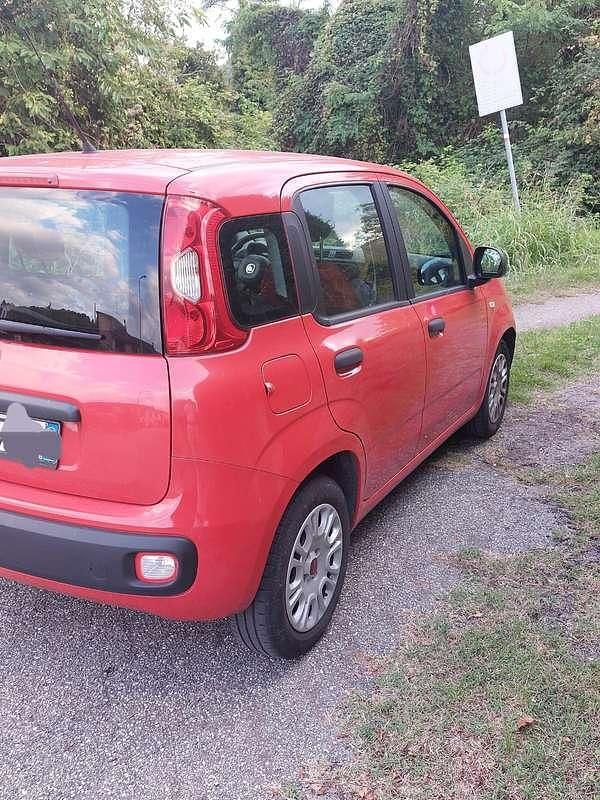 Usata Fiat Panda Easy 69 CV (50 kW) 2019 Rosso Utilitaria