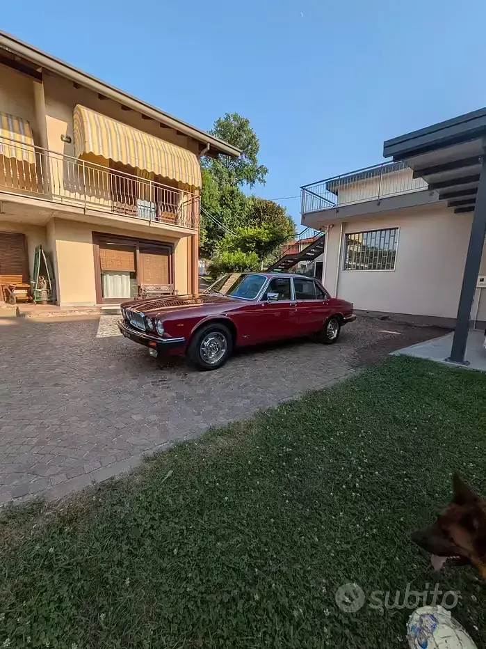Usata Jaguar XJ12 285 CV (209 kW) 1980 Berlina