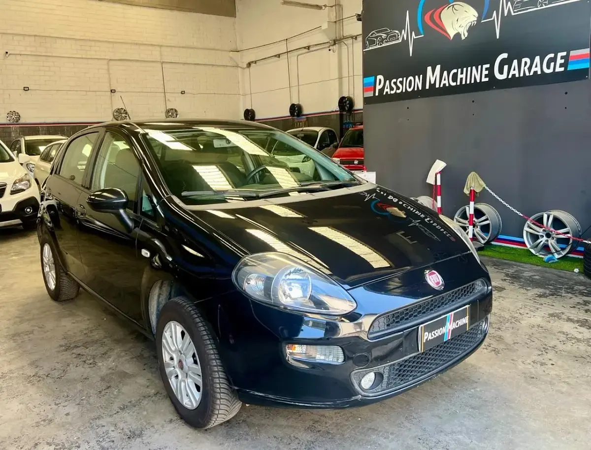Usata Fiat Punto Lounge 69 CV (50 kW) 2015 Utilitaria
