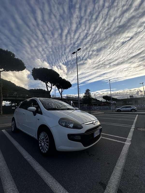 Usata Fiat Punto Evo Dynamic 69 CV (50 kW) 2011 Utilitaria