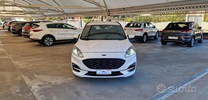 Usata Ford Kuga ST-Line X 120 CV (88 kW) 2021 Bianco SUV