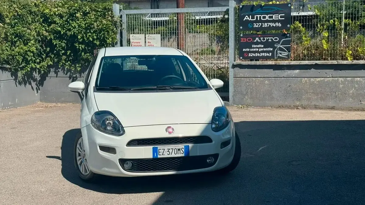 Usata Fiat Punto Lounge 75 CV (55 kW) 2015 Bianco Utilitaria
