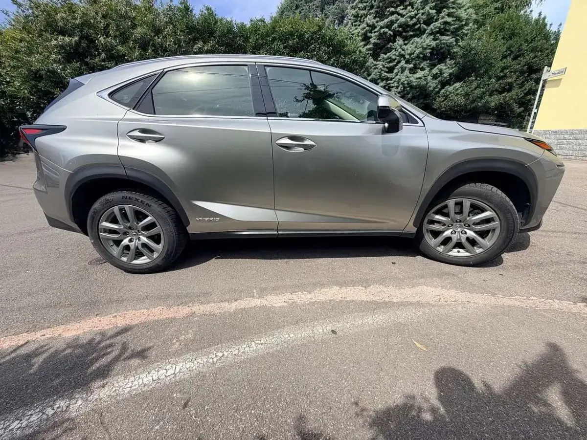 Usata Lexus NX300h Executive Line 197 CV (144 kW) 2016 Grigio SUV