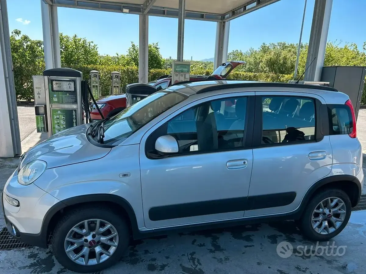 Usata Fiat Panda 4x4 S 75 CV (55 kW) 2017 Grigio Utilitaria