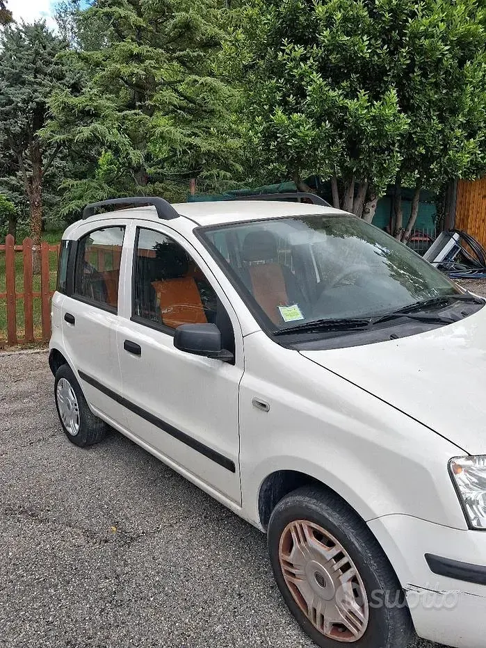Usata Fiat Panda 60 CV (44 kW) 2009 Utilitaria