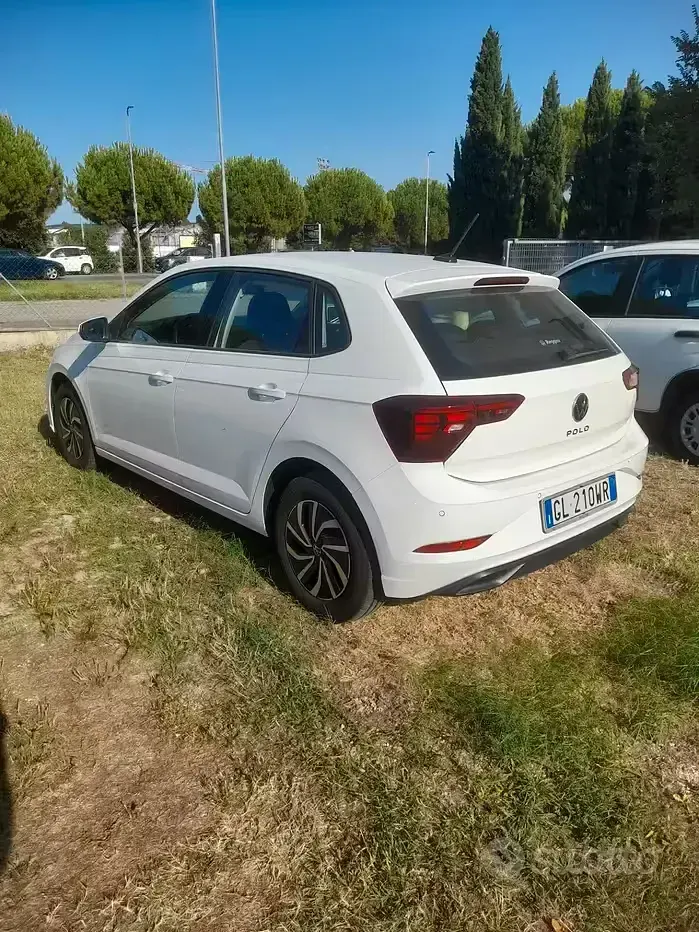 Usata VW Polo Life 95 CV (69 kW) 2023 Bianco Utilitaria