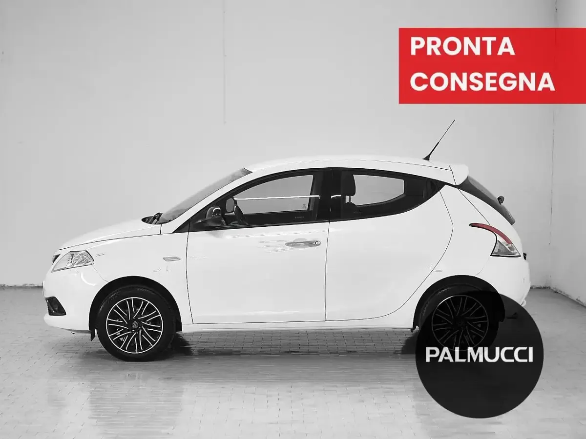 Usata Lancia Ypsilon Gold 69 CV (50 kW) 2019 Bianco Utilitaria