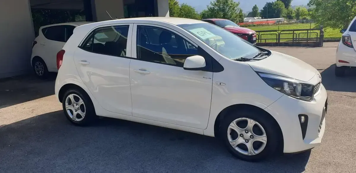 Usata Kia Picanto 65 CV (47 kW) 2021 Bianco Utilitaria