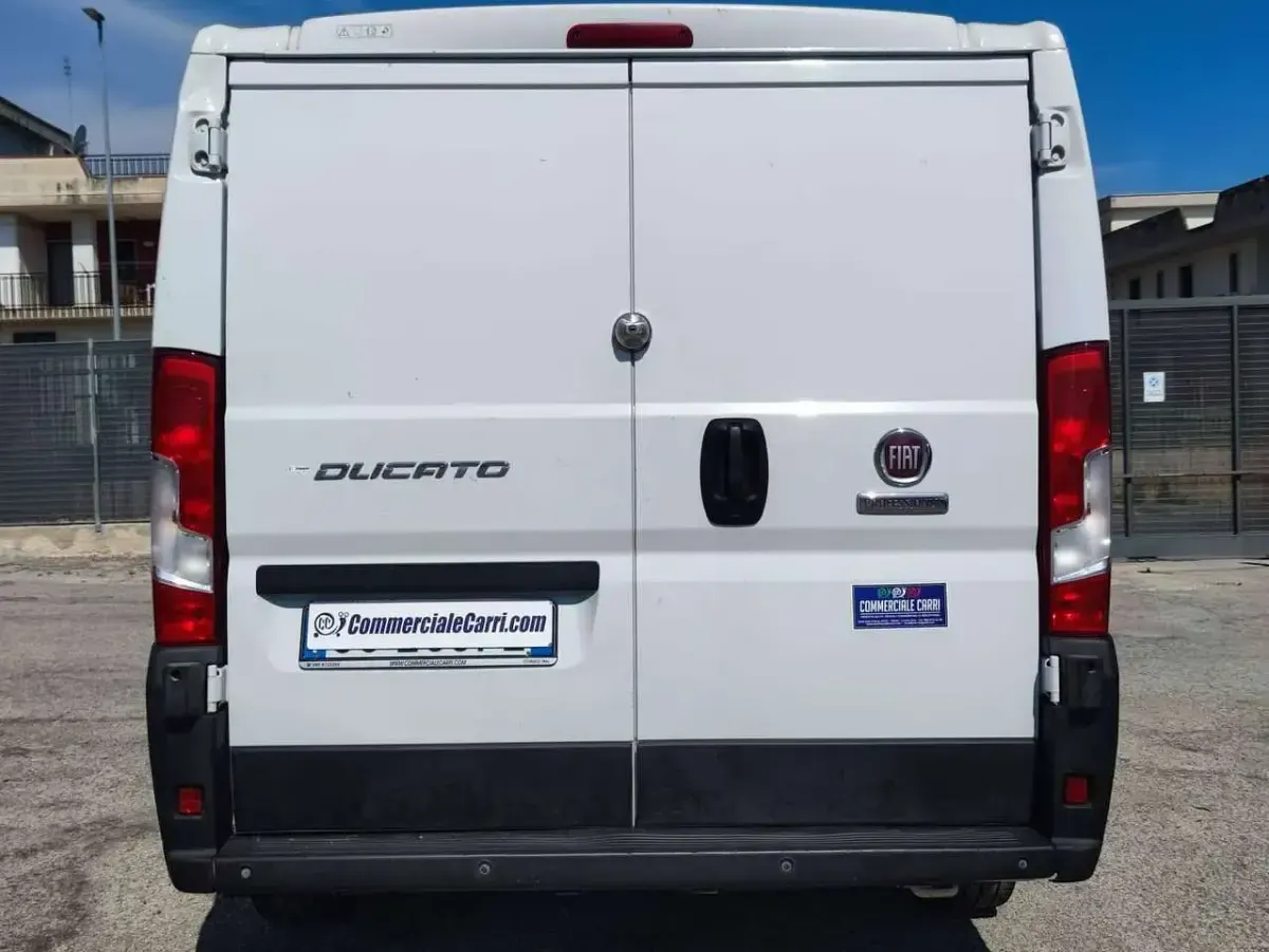 Usata Fiat Ducato 33 120 CV (88 kW) 2020 Bianco Furgone