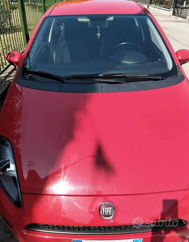 Usata Fiat Punto Lounge 69 CV (50 kW) 2016 Rosso Utilitaria