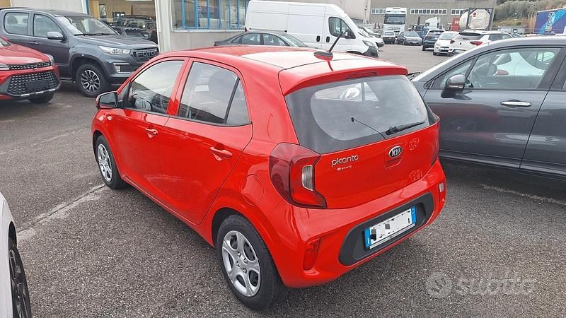 Usata Kia Picanto Urban 66 CV (48 kW) 2021 Rosso Utilitaria