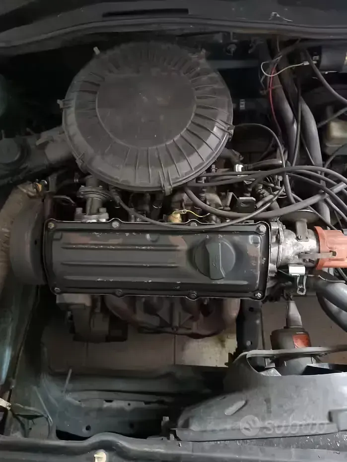 Usata VW Golf I 1980 Verde Utilitaria