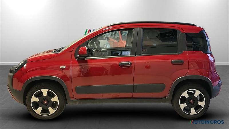 Usata Fiat Panda Cross Cross 69 CV (50 kW) 2023 Verde Utilitaria