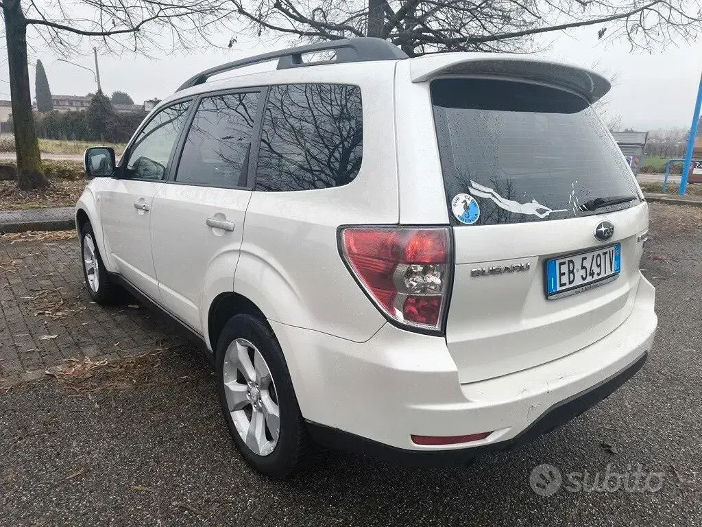 Usata Subaru Forester Trend 147 CV (108 kW) 2010 Bianco SUV