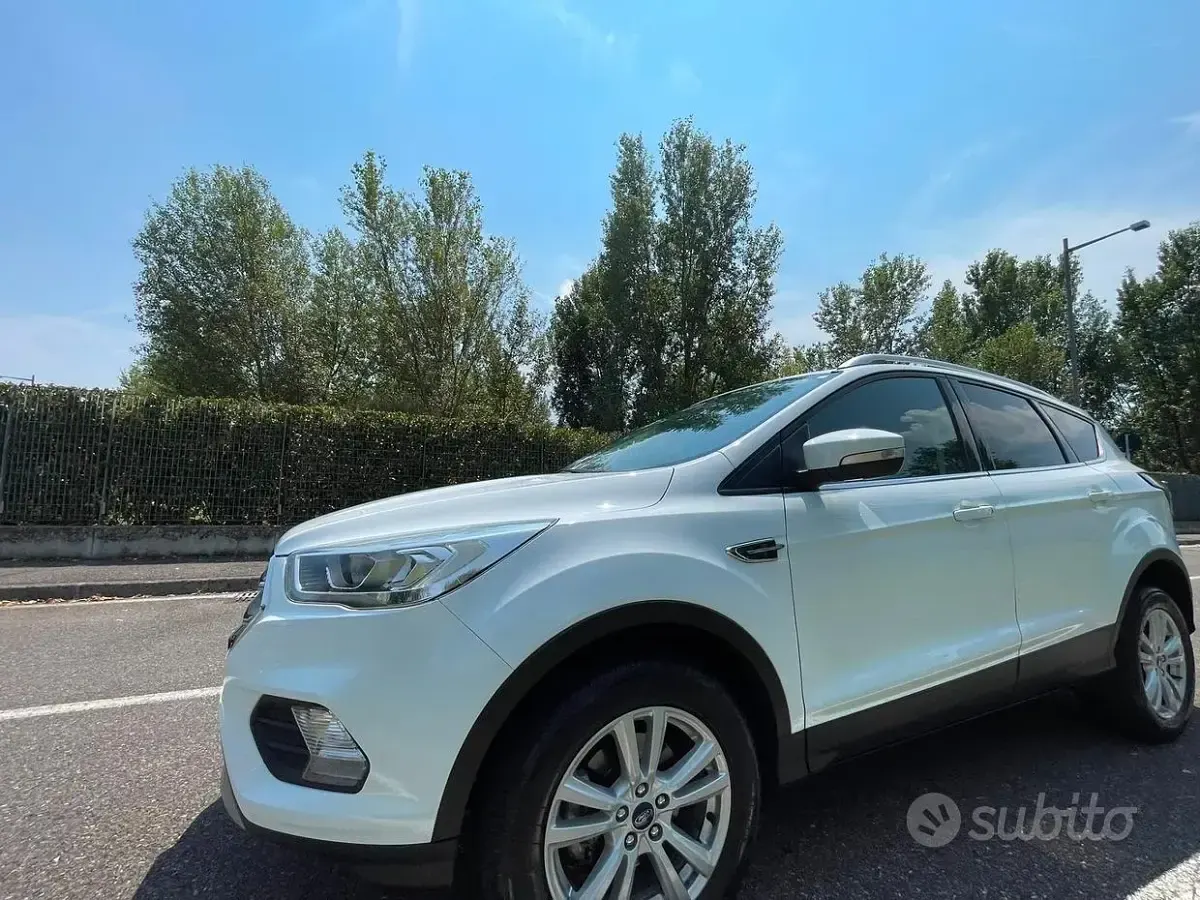 Usata Ford Kuga ST-Line 120 CV (88 kW) 2019 Bianco SUV
