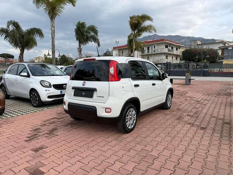 Usata Fiat Panda Cross Cross 69 CV (50 kW) 2024 Other Utilitaria
