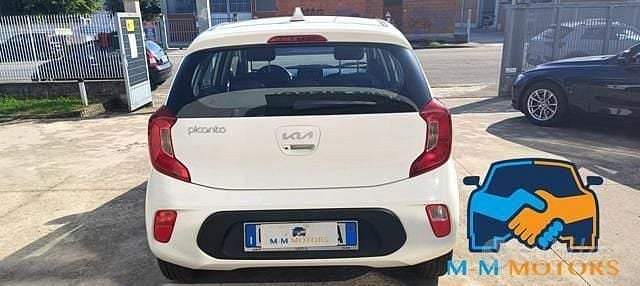 Usata Kia Picanto Urban 109 CV (80 kW) 2023 Bianco Utilitaria