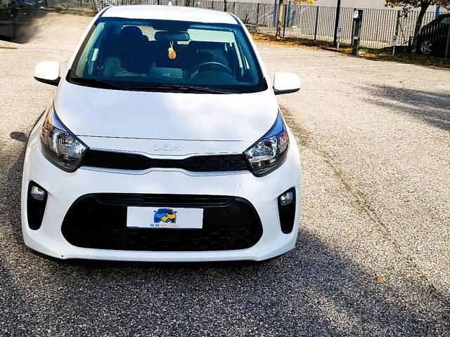 Usata Kia Picanto Urban 67 CV (49 kW) 2024 Bianco Utilitaria