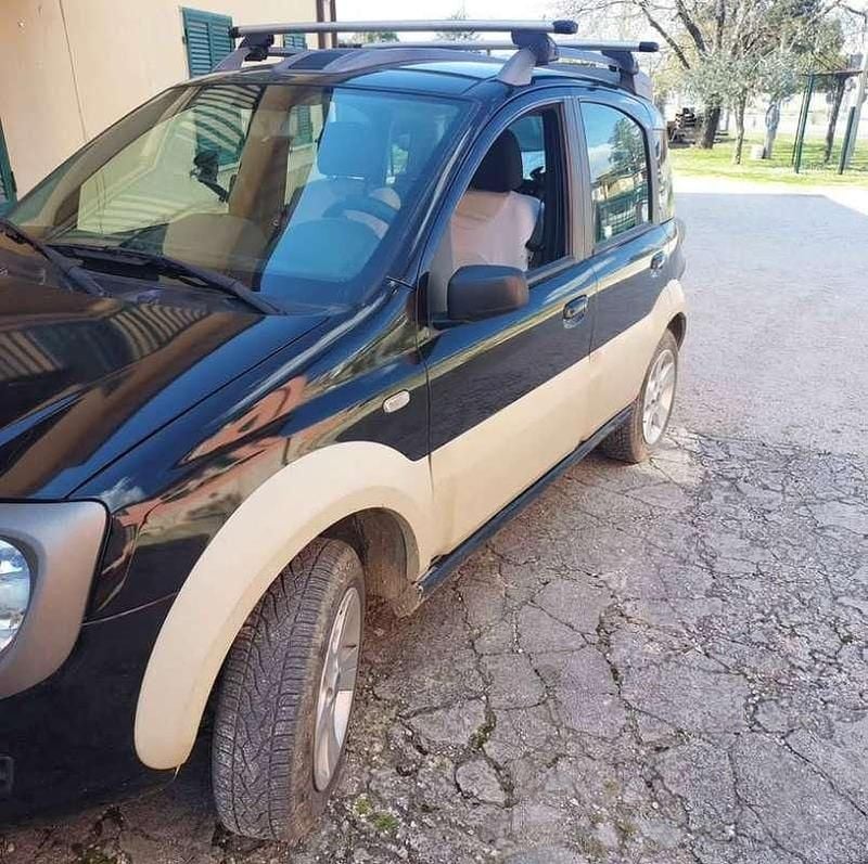 Usata Fiat Panda 4x4 Cross 69 CV (50 kW) 2006 Verde Utilitaria