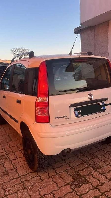 Usata Fiat Panda 4x4 69 CV (50 kW) 2008 Bianco Utilitaria