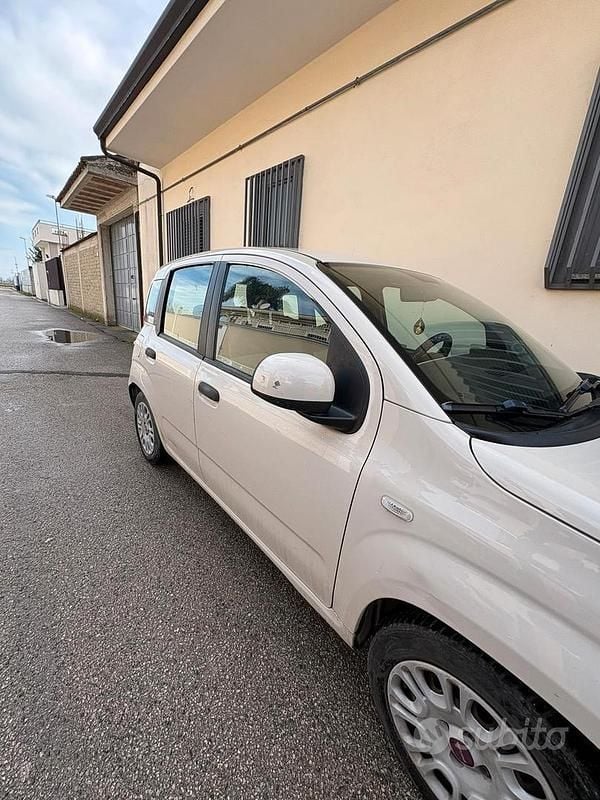 Usata Fiat Panda 69 CV (50 kW) 2016 Bianco Utilitaria