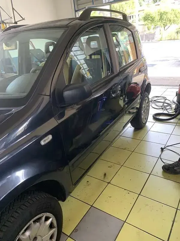 Usata Fiat Panda 4x4 60 CV (44 kW) 2006 Utilitaria