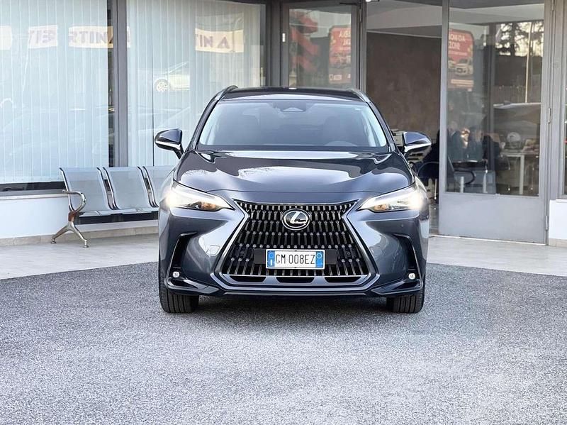 Usata Lexus NX300h 190 CV (139 kW) 2022 Grigio SUV