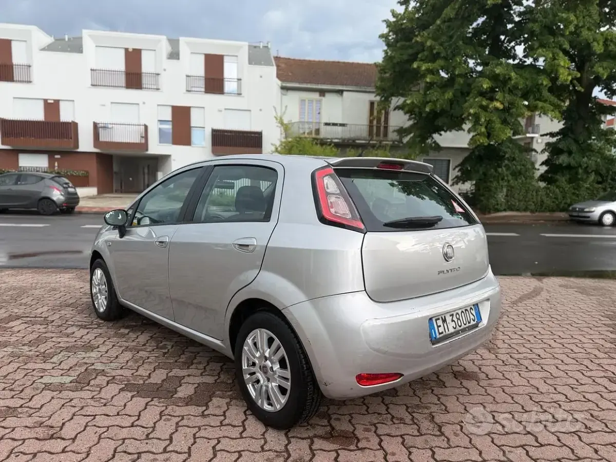 Usata Fiat Punto Lounge 77 CV (56 kW) 2012 Grigio Utilitaria