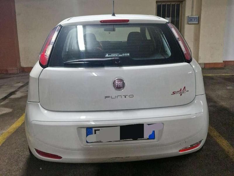 Usata Fiat Punto Easy 75 CV (55 kW) 2014 Bianco Utilitaria