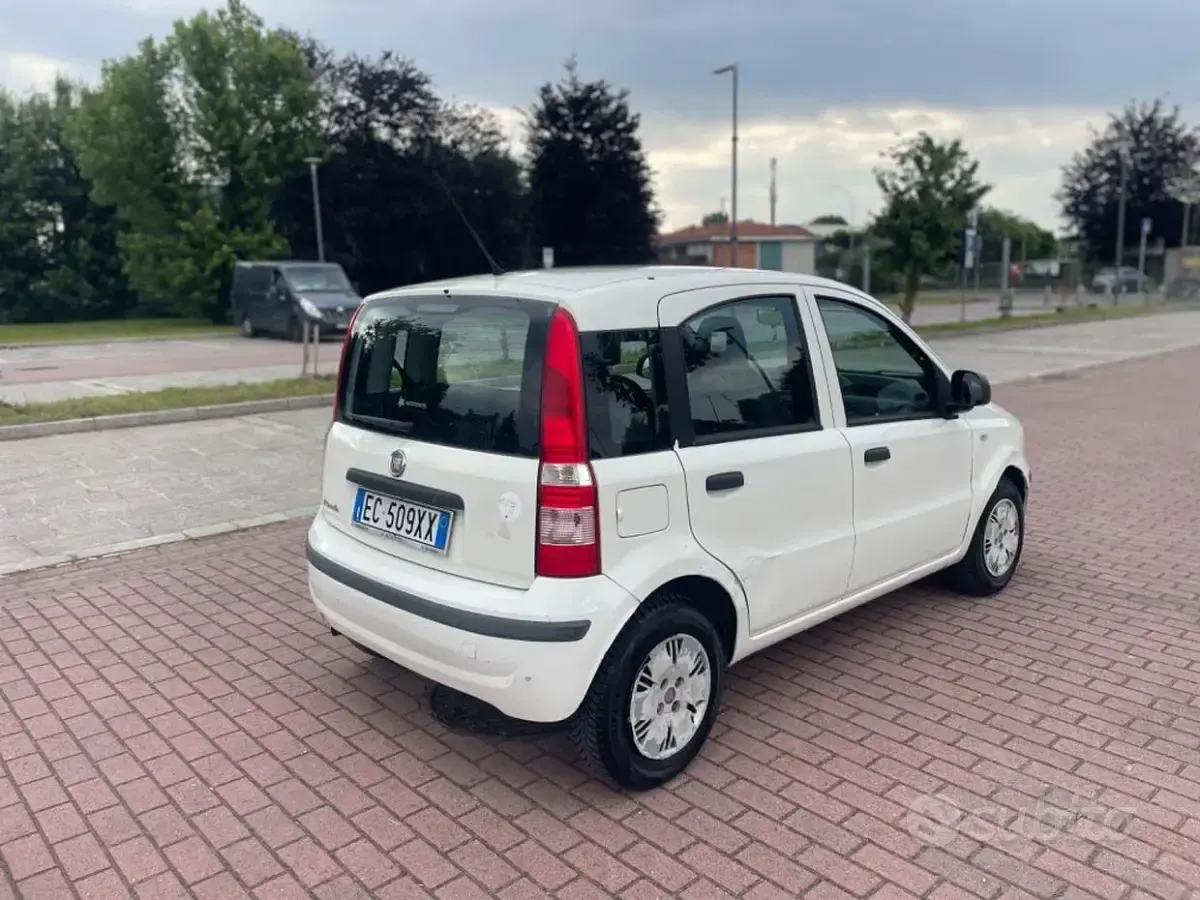 Usata Fiat Panda Active 54 CV (39 kW) 2010 Bianco Utilitaria
