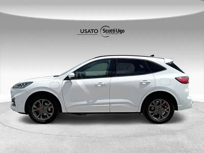 Usata Ford Kuga ST-Line X 225 CV (165 kW) 2023 Bianco SUV