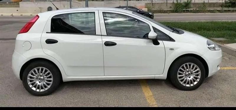 Usata Fiat Punto Lounge 69 CV (50 kW) 2013 Bianco Berlina