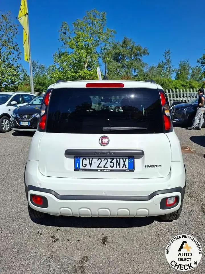 Usata Fiat Panda Cross Cross 69 CV (50 kW) 2024 Bianco Utilitaria