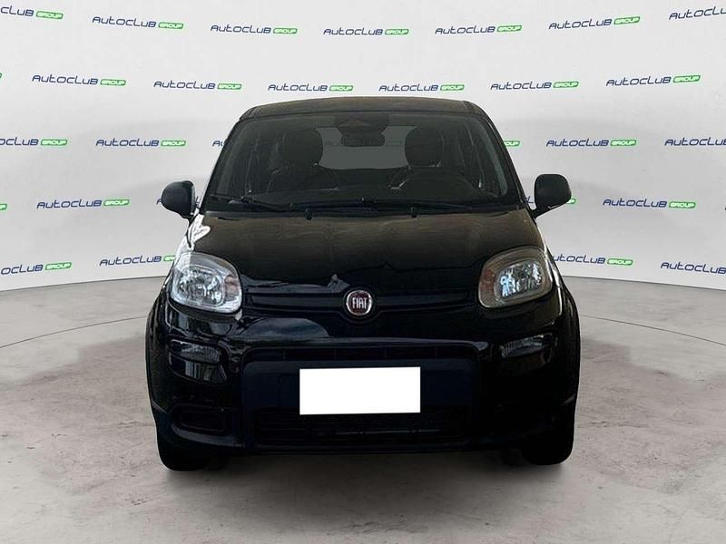 Usata Fiat Panda S 69 CV (50 kW) 2024 Nero seducente (pastello extra Berlina