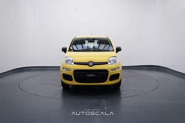 Nuova Fiat Panda S 69 CV (50 kW) 2025 Giallo Utilitaria